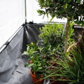 Tunel foliowy Patio 100: 220 x 100 x 80 cm