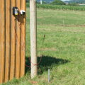 Elektryzator kombinowany TRAPPER AN12