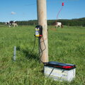 Elektryzator kombinowany TRAPPER AN12