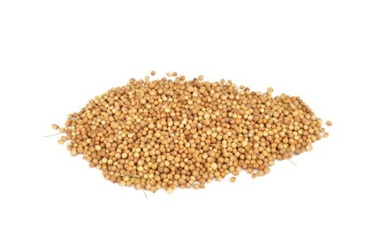 Nasiona kolendry 1 kg