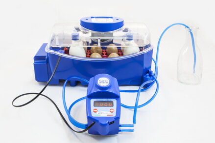 Inkubator LUMIA 8 z automatycznym nawilżaczem powietrza SIRIO