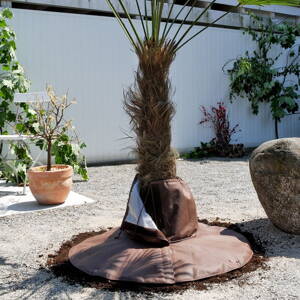 Osłona na ochronę korzeni roślin palmowych