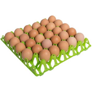 Taca na 30 jaj kurzych